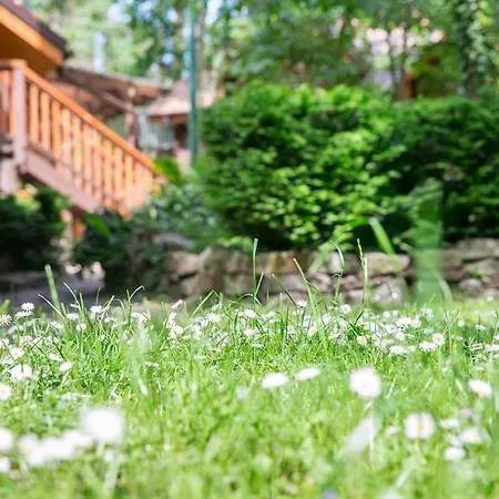 Kotwica Morska 리조트 포비에로보