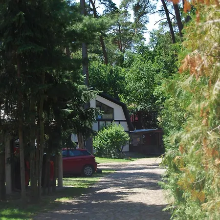 Kotwica Morska